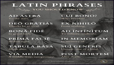 A Profile Of A Latin Beauty