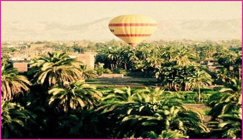 Aubree Wyatt Autopsy: Unraveling The Mystery Behind Her Untimely Death