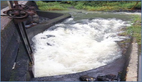 Court cuts East Maui water diversions again | News, Sports, Jobs