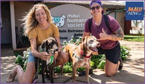 Maui Humane Society names new CEO | News, Sports, Jobs